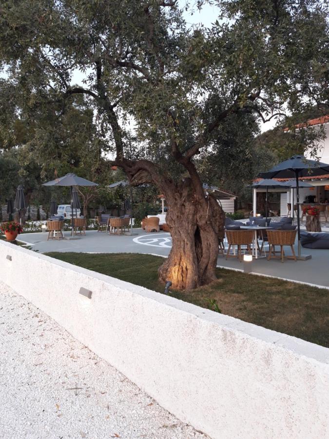 Hotel Orama Thassos Skala Sotiros Esterno foto